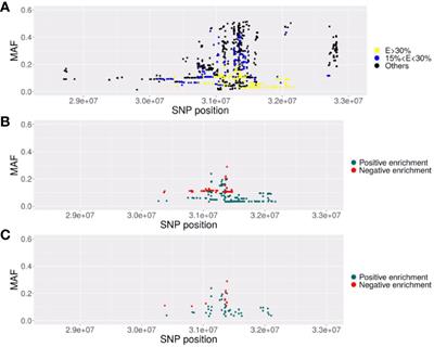 The HLA-B*57:01 allele corresponds to a very large MHC haploblock likely explaining its massive effect for HIV-1 elite control